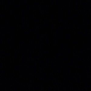 Meet your Posher, Selina